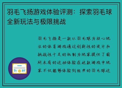 羽毛飞扬游戏体验评测：探索羽毛球全新玩法与极限挑战
