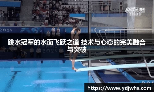 跳水冠军的水面飞跃之道 技术与心态的完美融合与突破
