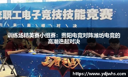 训练场精英赛小组赛：贵阳电竞对阵潍坊电竞的高潮迭起对决